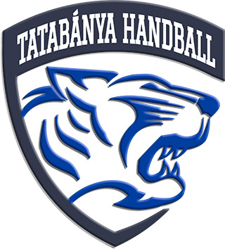 www.tatabanyahandball.com